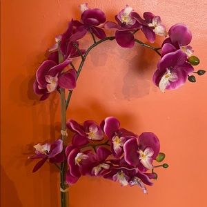 Meet your Posher, Rocio